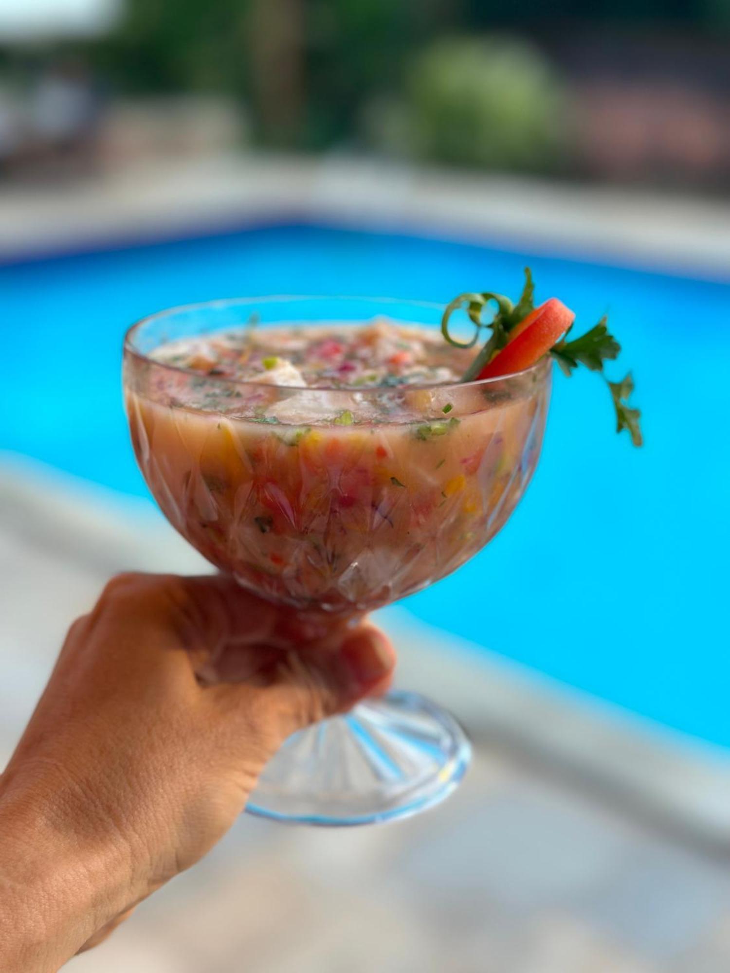 Pousada Villa Mariana Pirenópolis 外观 照片